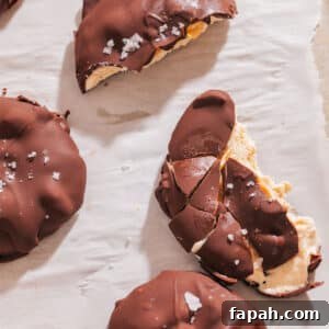 Peanut Butter Chocolate Frozen Yogurt Bites with Greek Yogurt 9 Frozen yogurt bites with peanut butter greek yogurt filling.