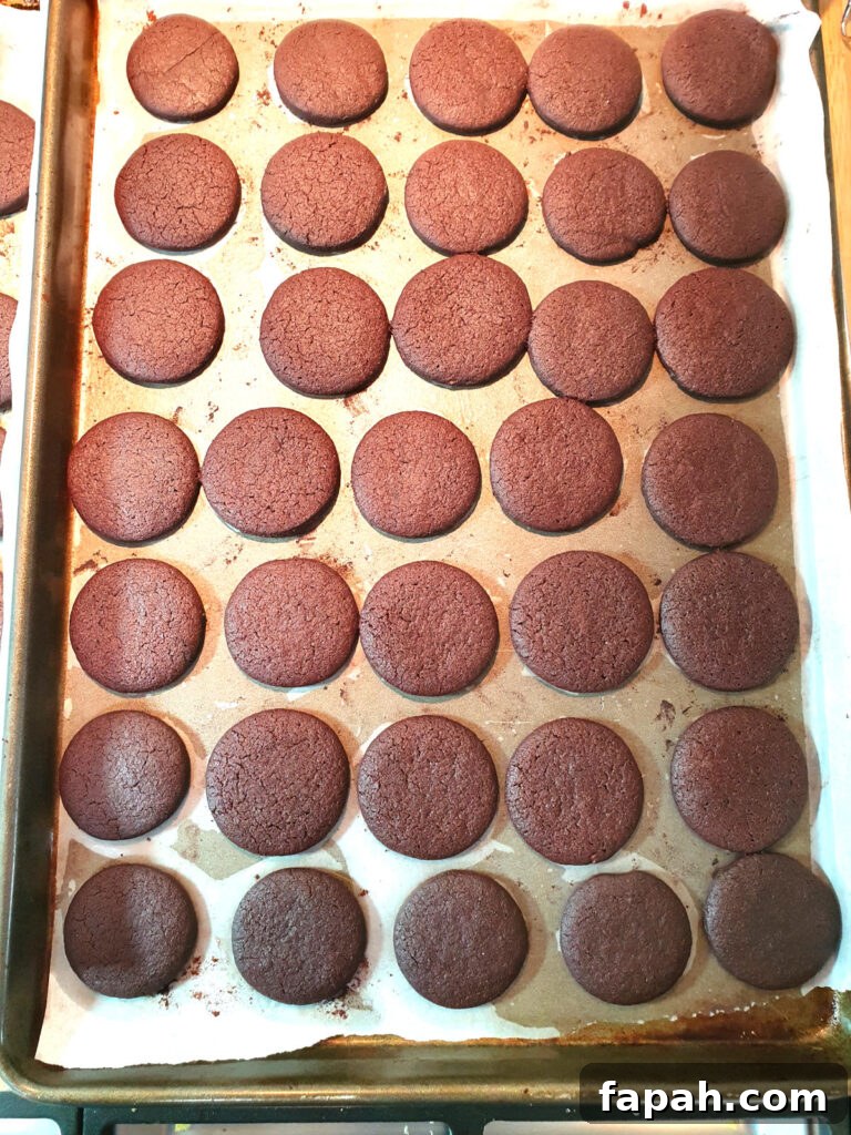 How to Make Homemade Oreo Cookies from Scratch 18 top down view of baking cookies on a baking tray.