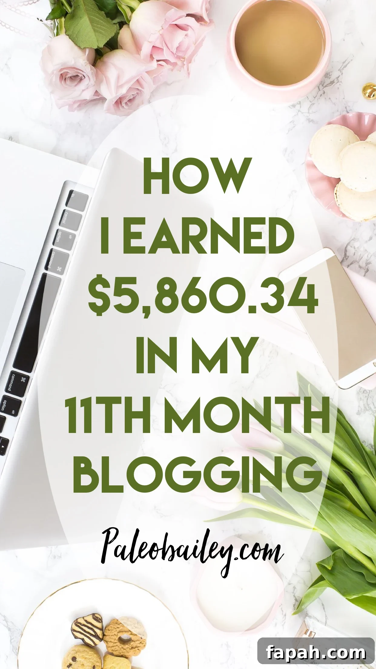 My First Month as a Full-Time Blogger: January Income Report 2 11th month blogging
