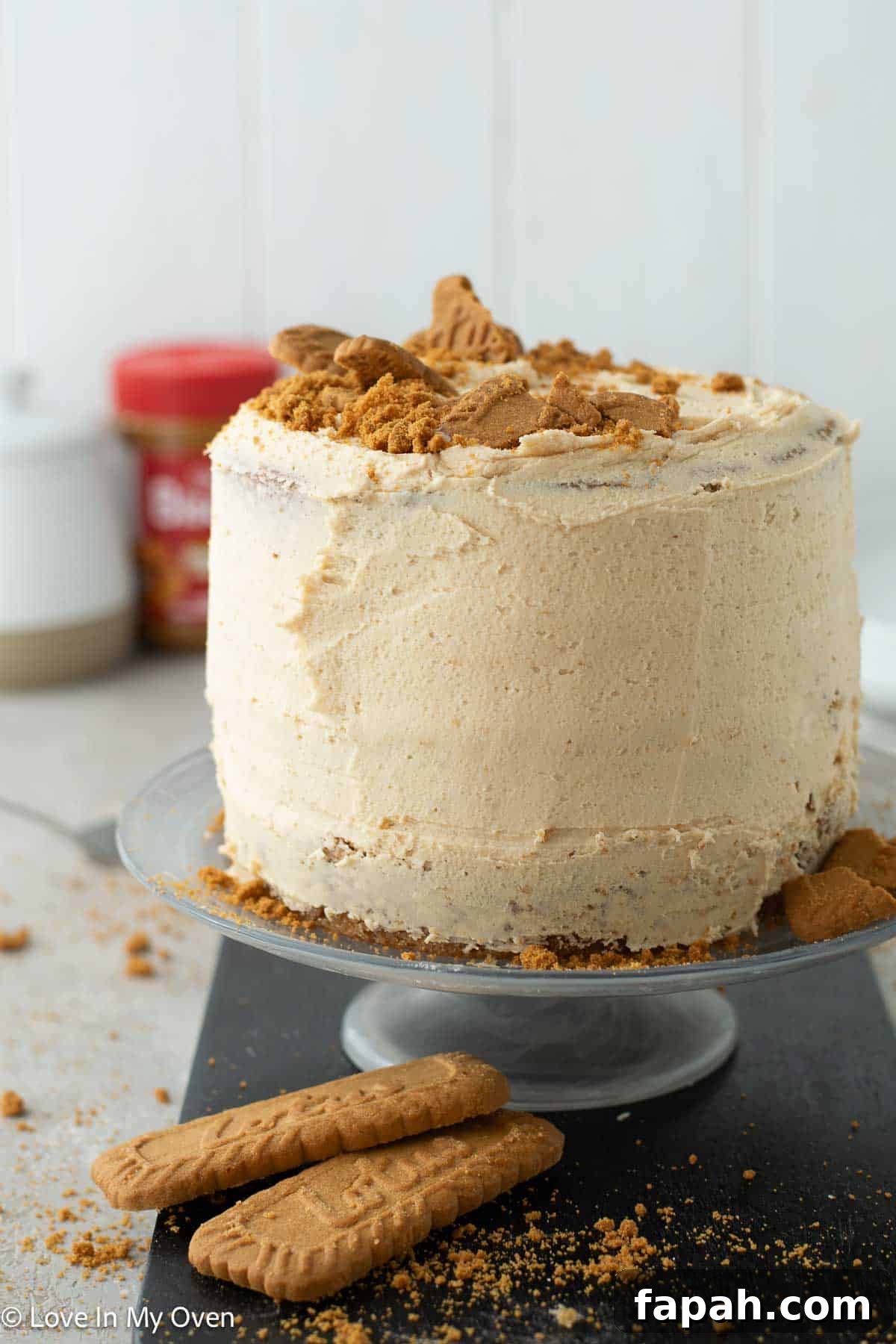 Decadent Cookie Butter Layer Cake Recipe 2 cookie butter cake