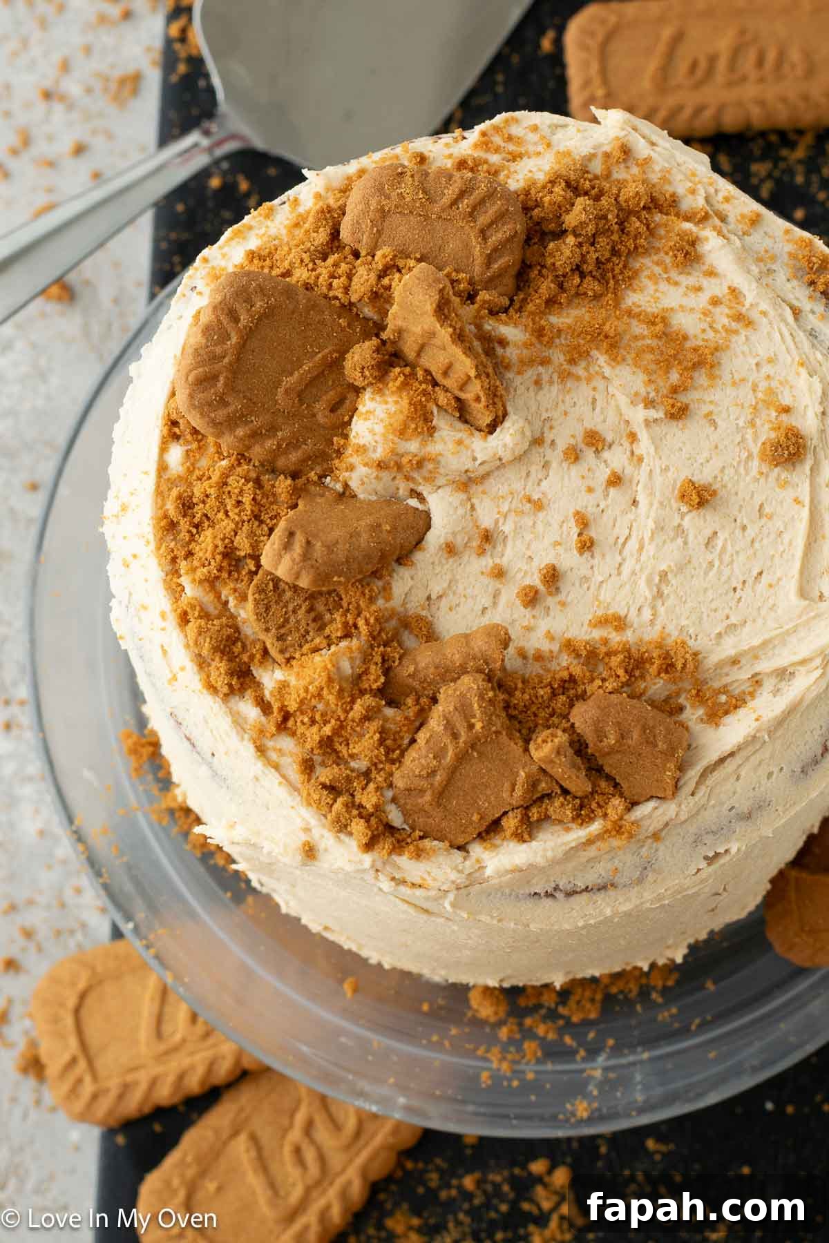 Decadent Cookie Butter Layer Cake Recipe 11 cookie butter cake