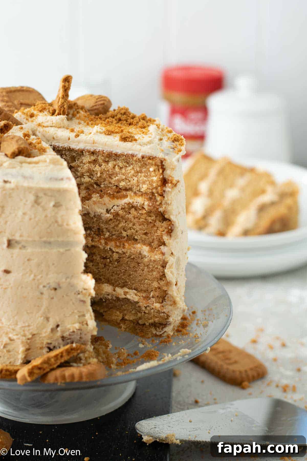 Decadent Cookie Butter Layer Cake Recipe 12 cookie butter cake