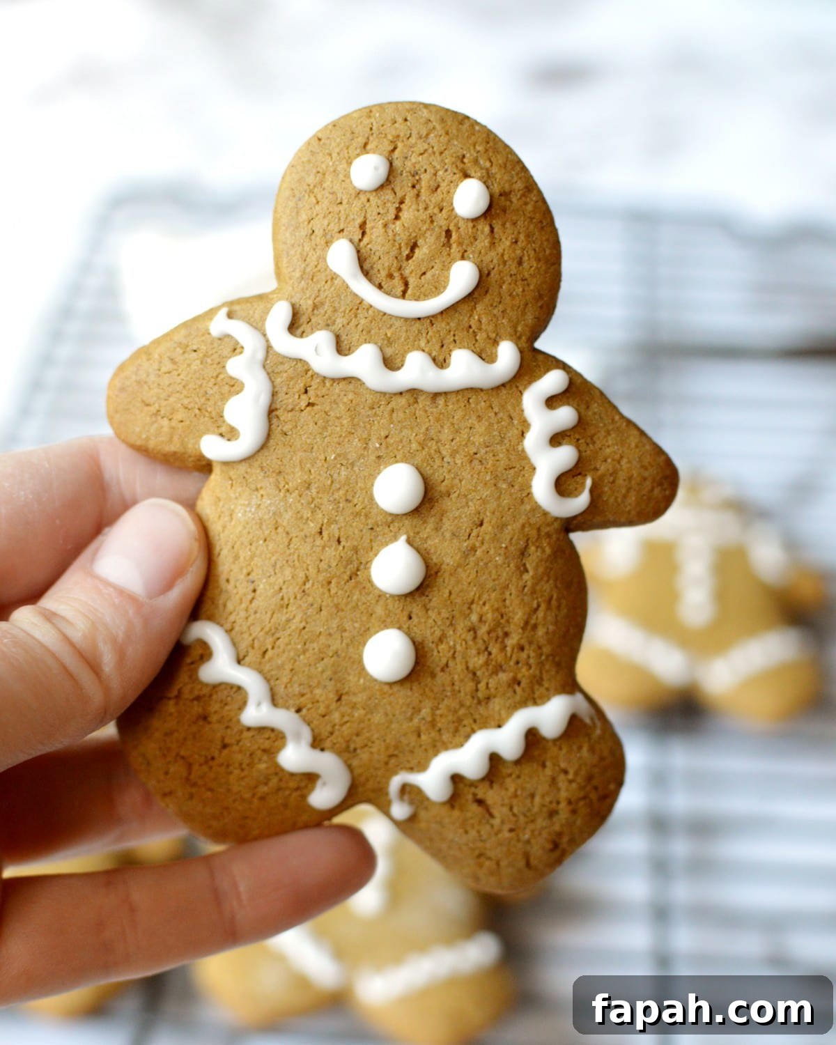 Soft Gluten-Free Gingerbread Cookies Recipe for Tender Bites 2 a gluten free gingerbread man