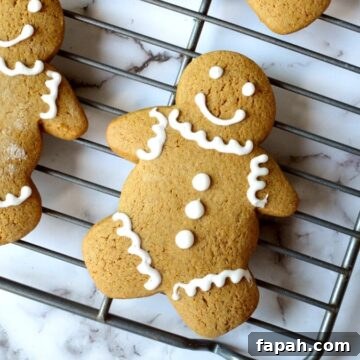 Soft Gluten-Free Gingerbread Cookies Recipe for Tender Bites 5 gluten free gingerbread cookies