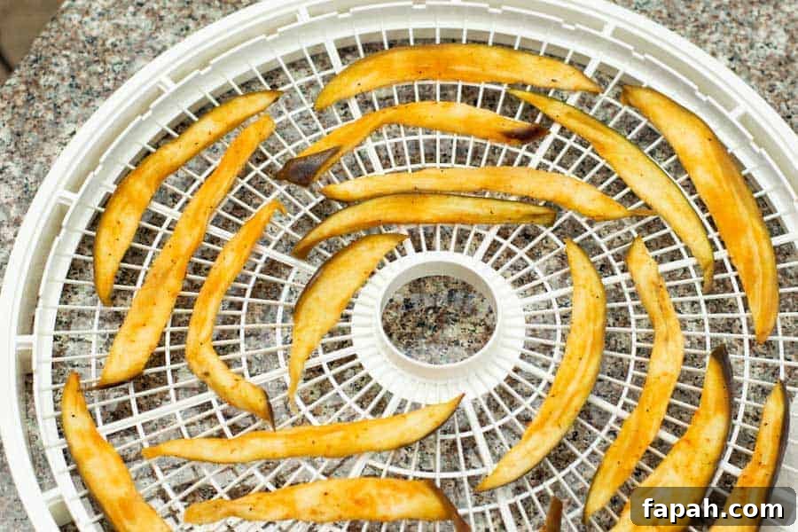 Eggplant Jerky on dehydrator tray