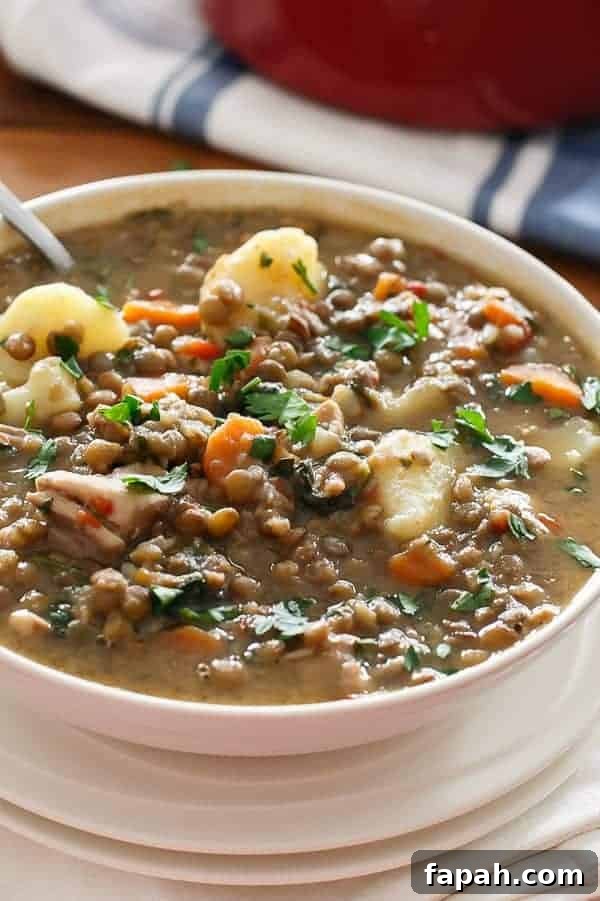 Top view of Warm Chicken and Pumpkin Lentil Stew with spoon in a bowl