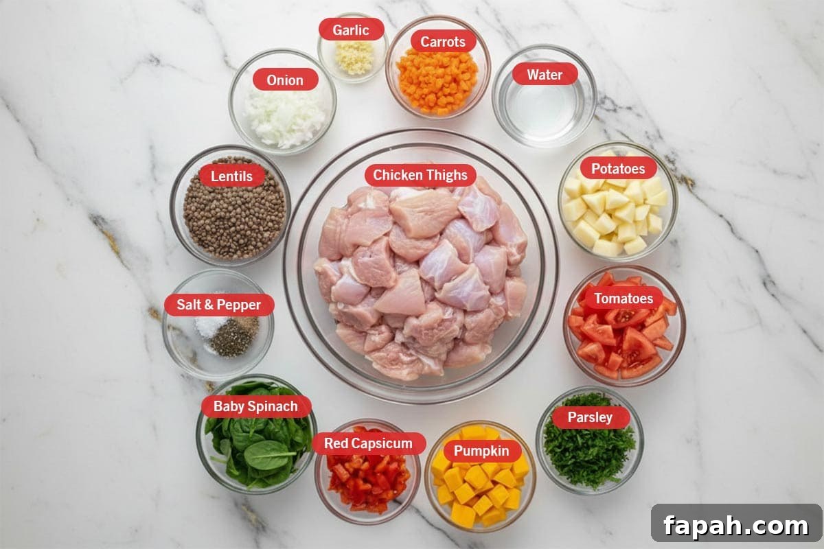 Top shot of ingredients: carrots, water, potatoes, tomatoes, parsley, pumpkin, red capsicum, baby spinach, salt & pepper, lentils, onion, garlic, and chicken thighs.
