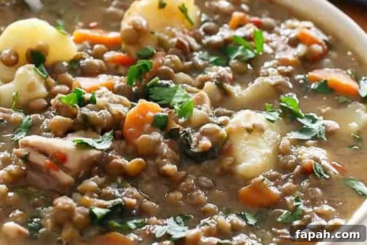 Close-up shot of Chicken Pumpkin Lentil Stew.