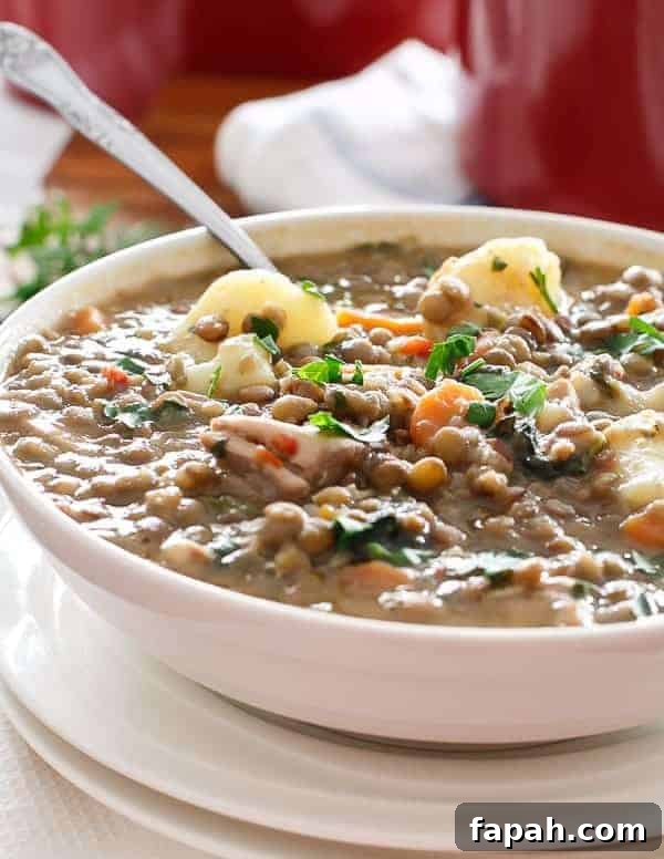 Warm Chicken and Pumpkin Lentil Stew with spoon in a bowl