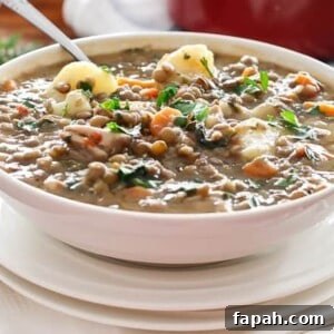 Warm Chicken Lentil Stew in a bowl