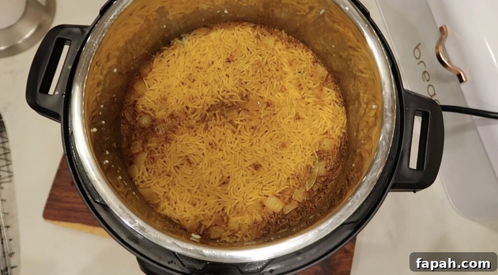 Chicken Biryani after pressure cooking