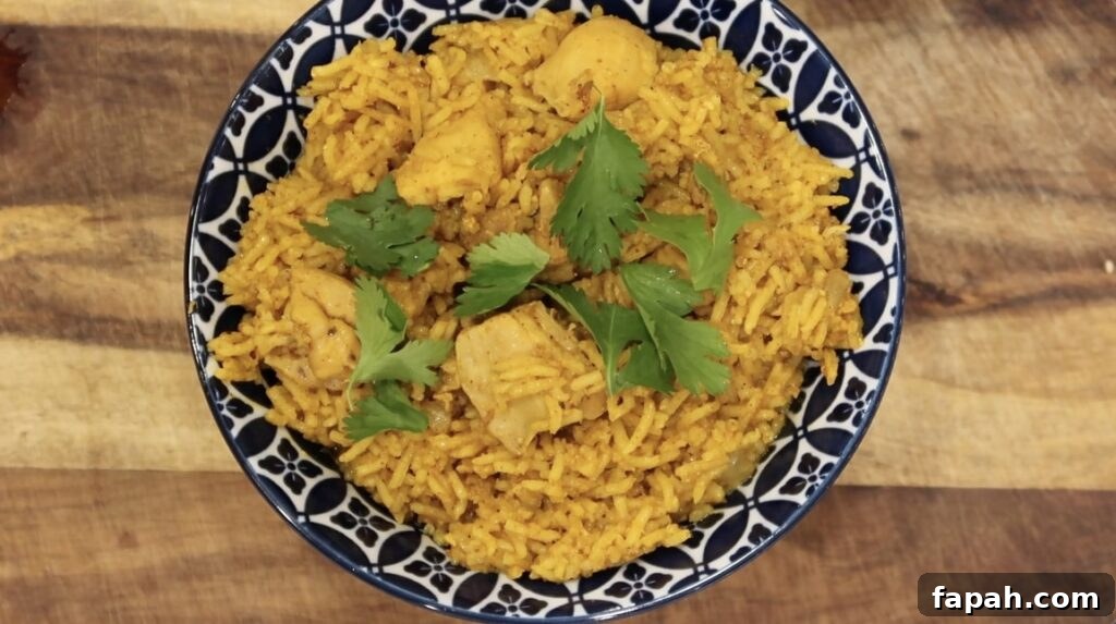 Plated Chicken Biryani topped with cilantro