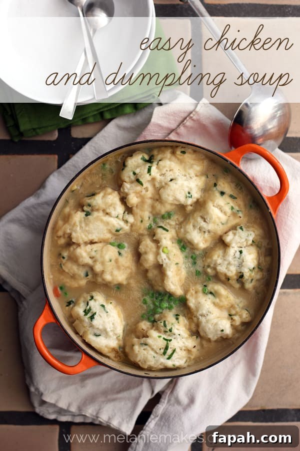 Easy Chicken and Dumpling Soup | Melanie Makes melaniemakes.com