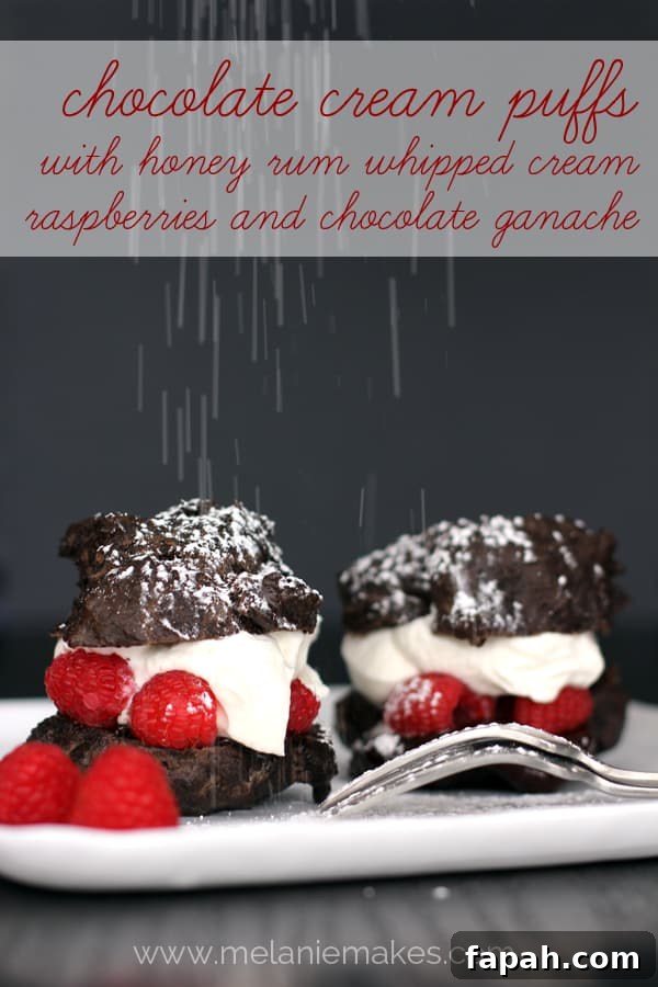 Chocolate Cream Puffs with Honey Rum Whipped Cream, Raspberries and Chocolate Ganache | Melanie Makes melaniemakes.com