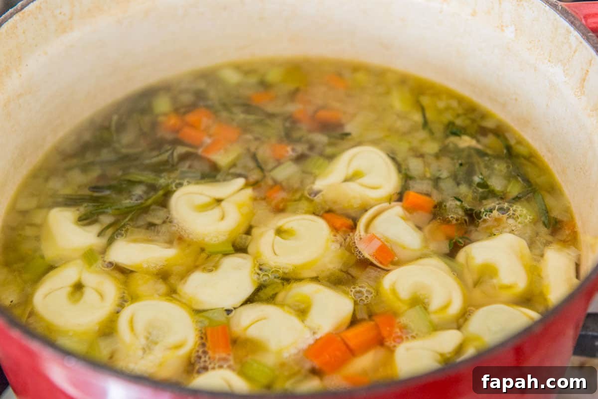 Creamy Spinach Tortellini Soup Recipe for Cozy Weeknights 8 Cooked Tortellini In Soup Pot with Vegetables