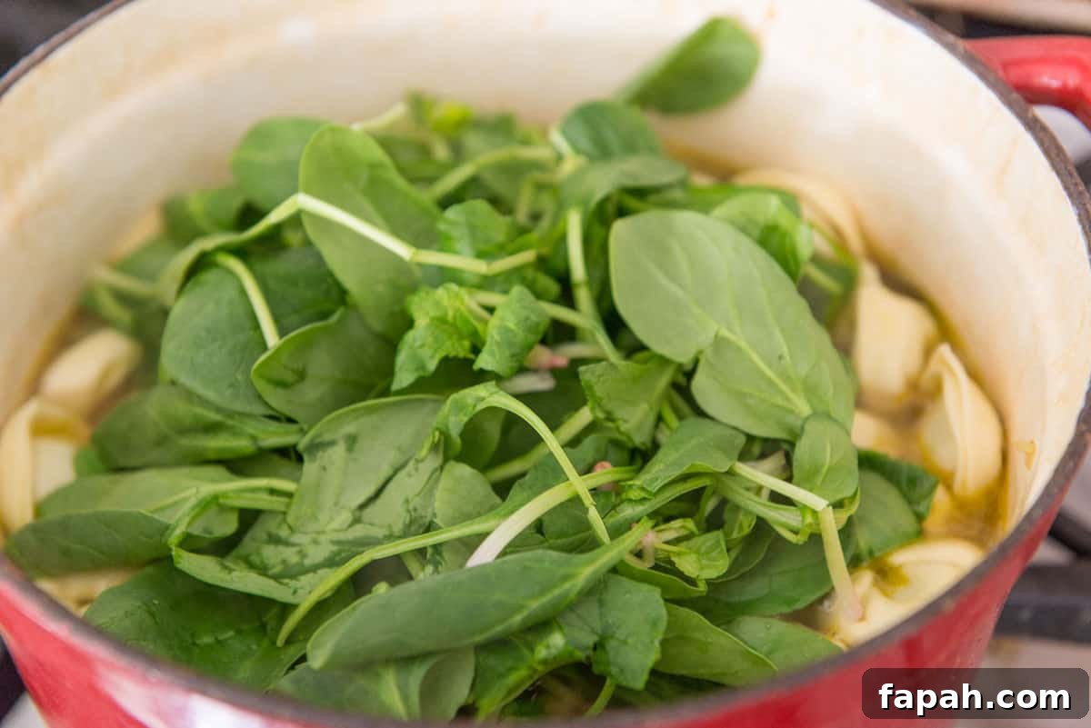 Creamy Spinach Tortellini Soup Recipe for Cozy Weeknights 9 Pile of Fresh Spinach in Pot