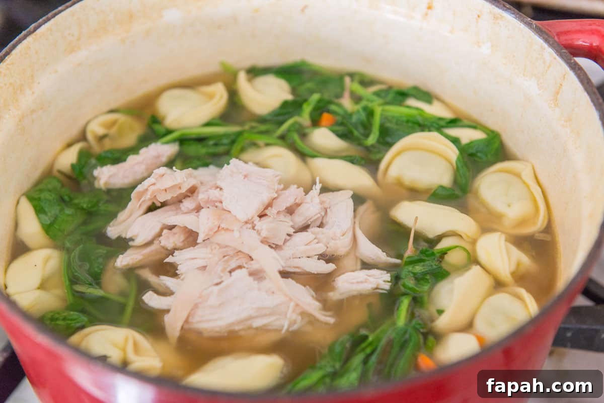 Creamy Spinach Tortellini Soup Recipe for Cozy Weeknights 10 Tortellini, Spinach, and Chicken in Soup Pot