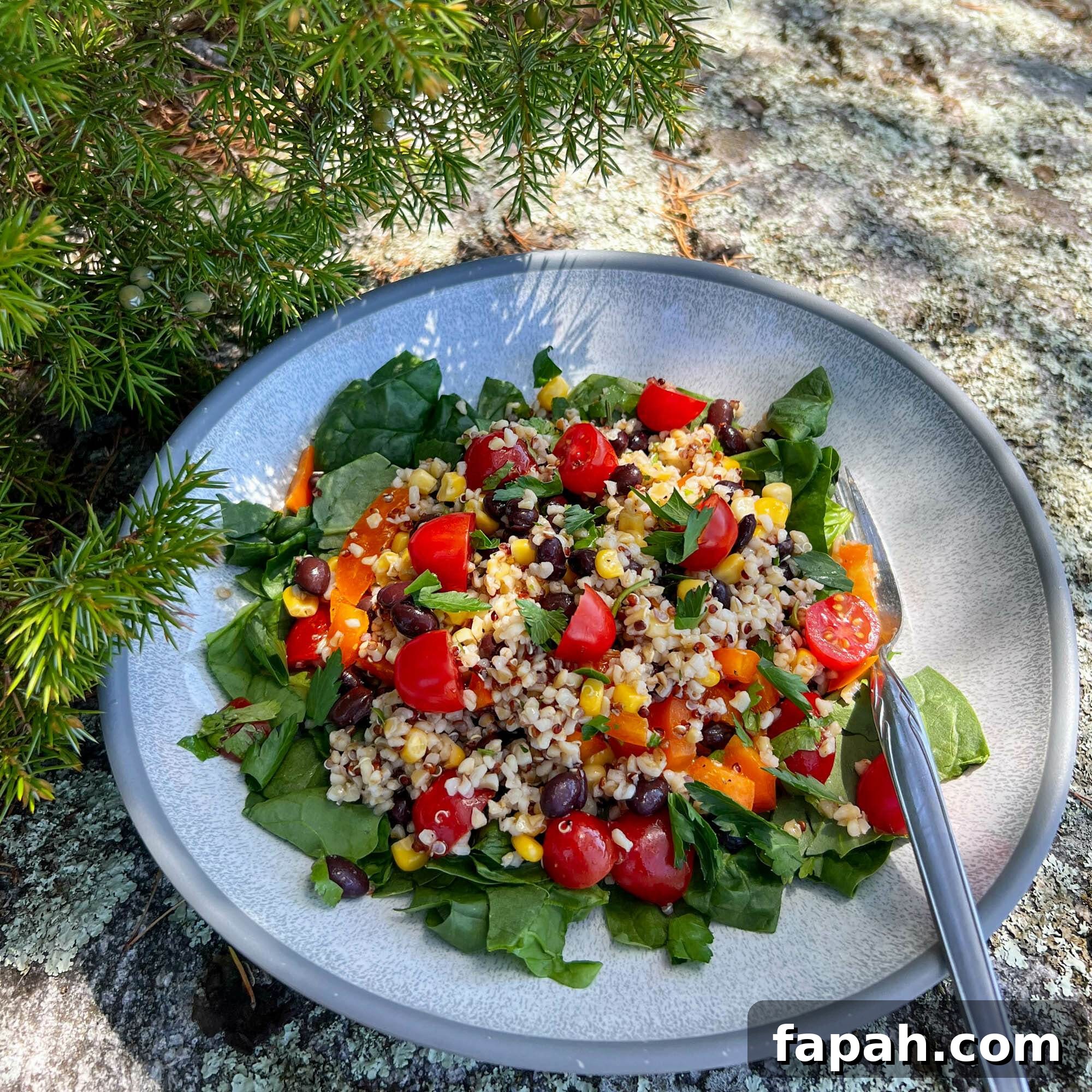 zesty quinoa salad on spinach in bowl on rock
