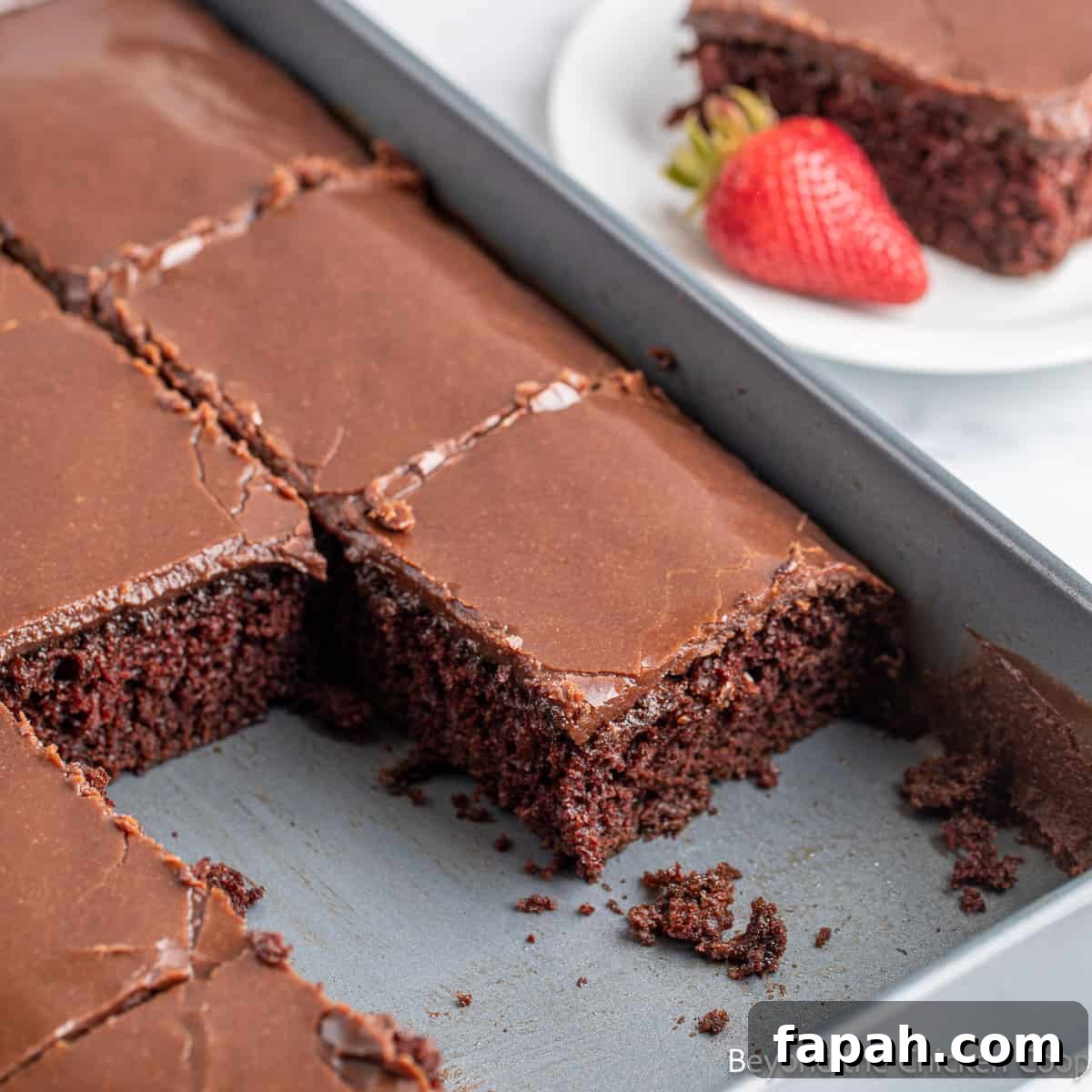 Moist Buttermilk Chocolate Cake Recipe for Rich Chocolate Flavor 12 A cake in a cake pan.