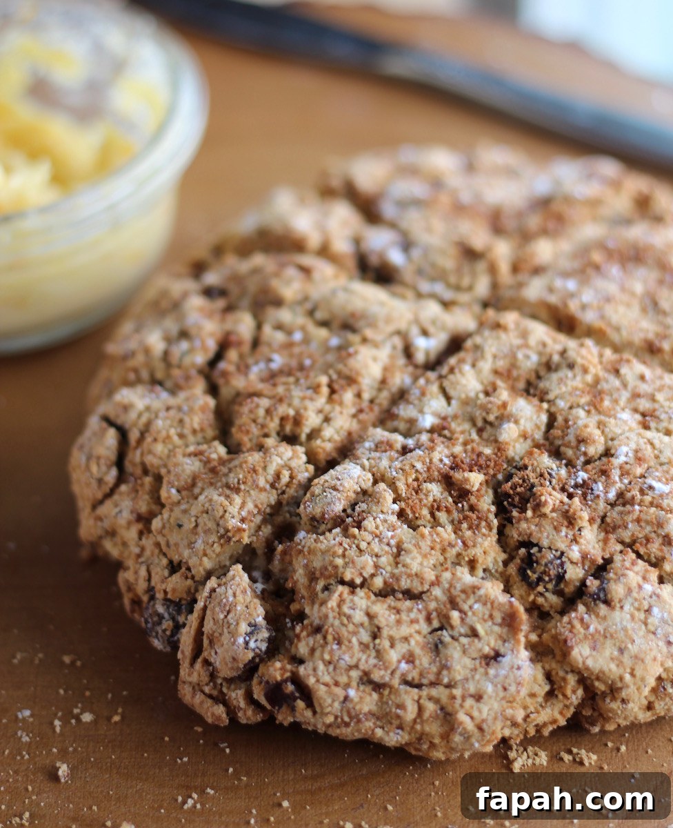 Paleo Irish Soda Bread with Orange Honey Butter - grain-free, nut-free bread paired with a 3-ingredient compound butter! To die for! | fedandfulfilled.com