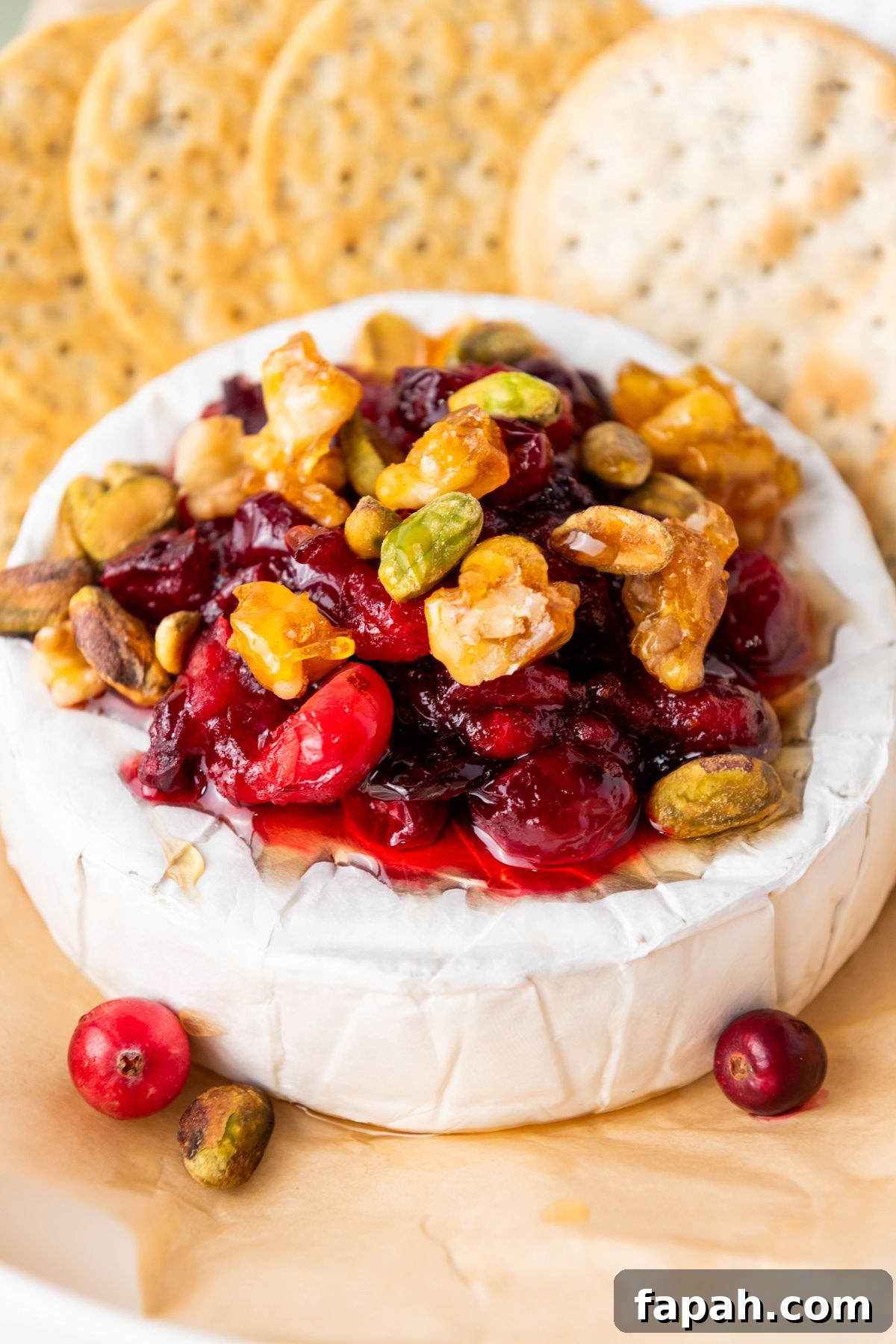 Baked Brie with Honey and Pecans: Warm Party Appetizer 2 A round block of brie cheese, topped with nuts and cranberries, surrounded by crackers.