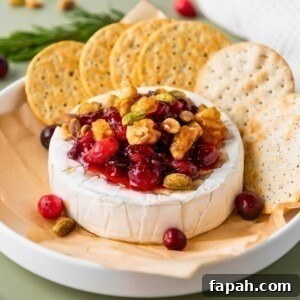 Baked Brie with Honey and Pecans: Warm Party Appetizer 15 A round block of brie cheese, topped with nuts and cranberries, surrounded by crackers.