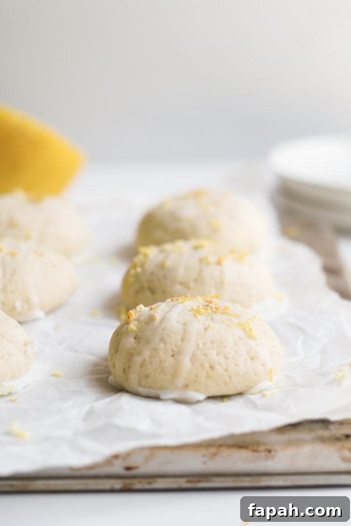 close up shot of lemon sugar cookies
