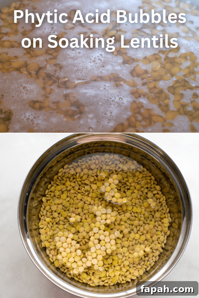 Hearty Lentil Soup Recipe for Cozy Weeknight Meals 3 phytic acid bubbles on soaking lentils