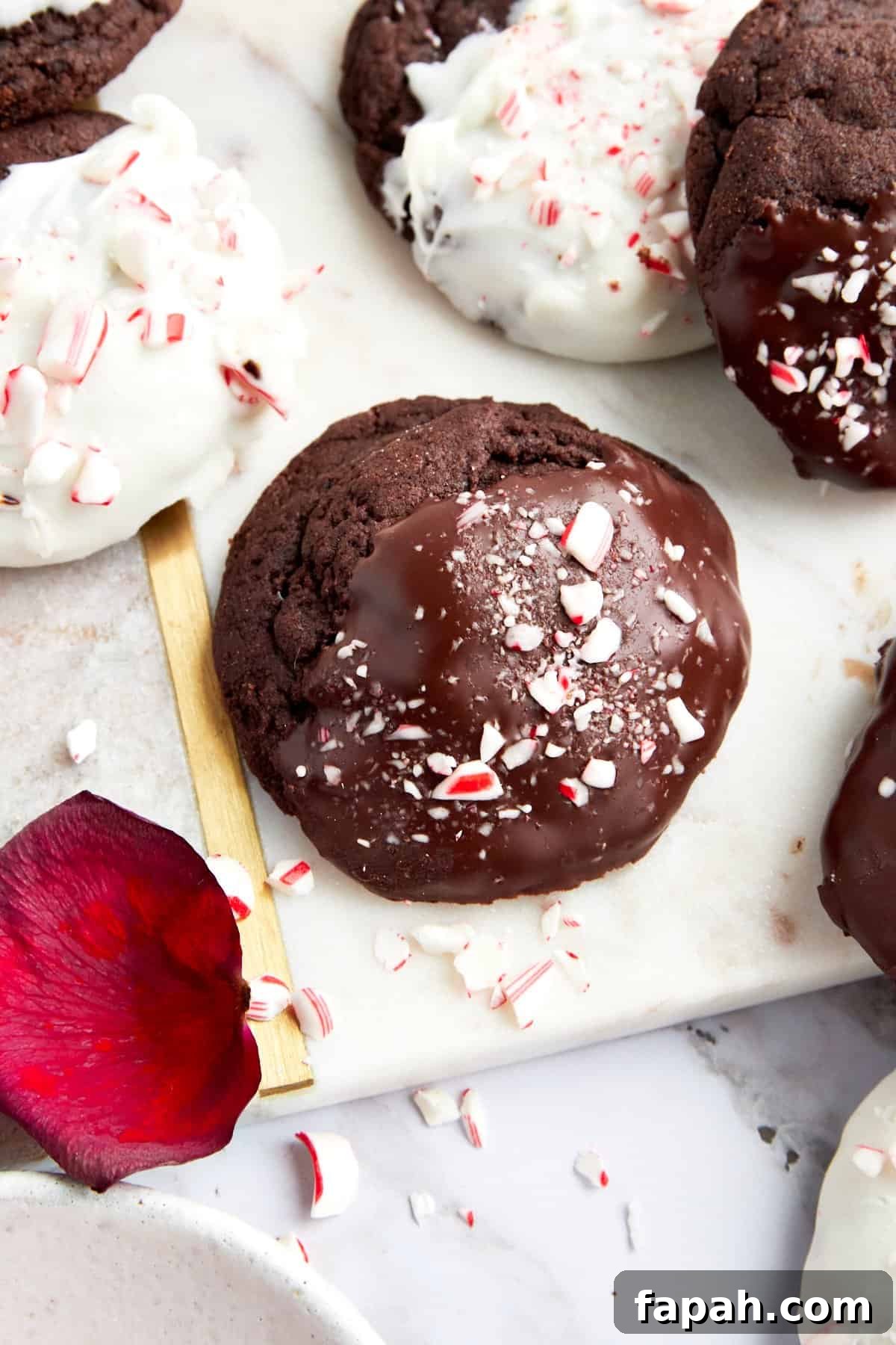 Dipped chocolate peppermint cookies topped with candy canes. 