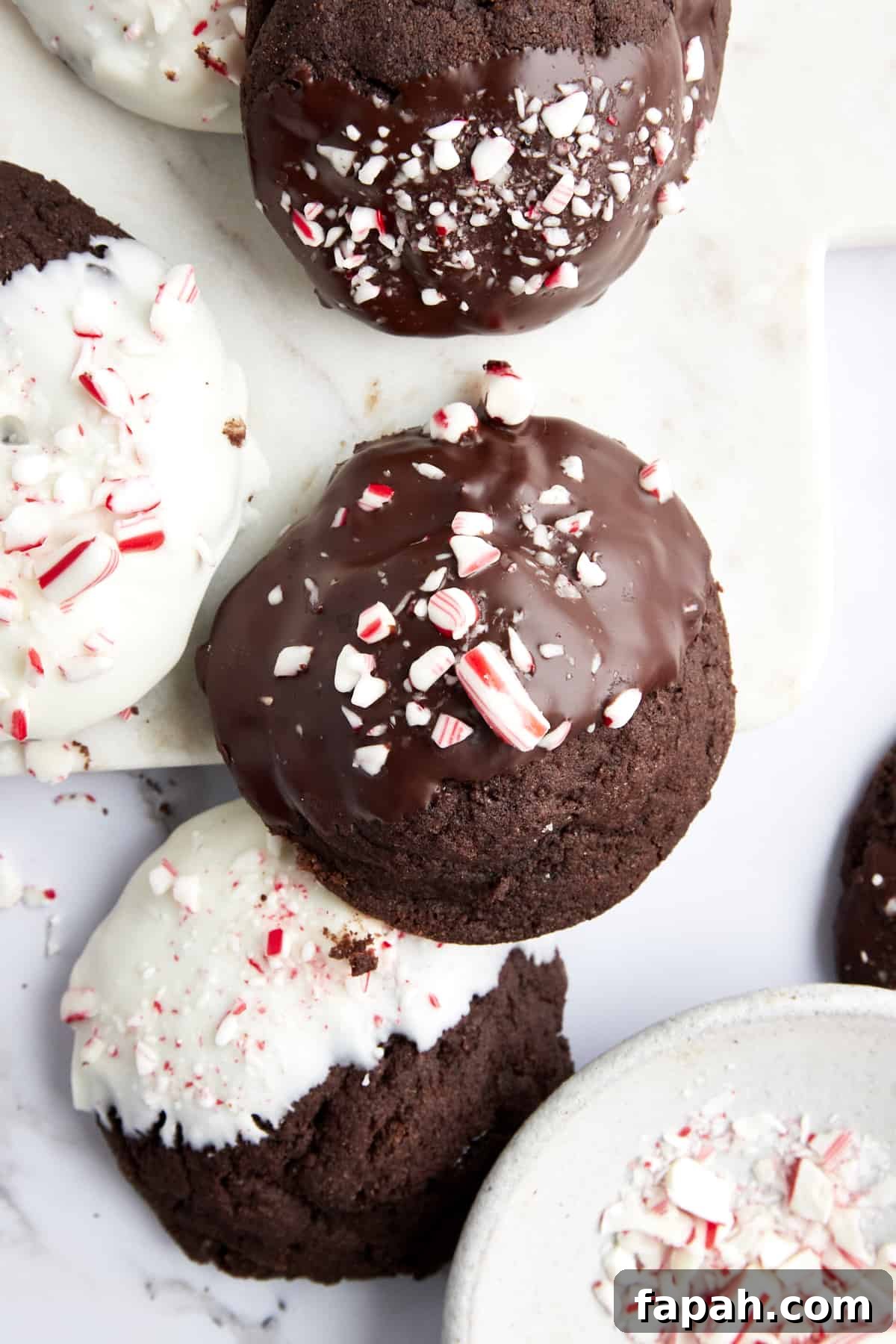 Chocolate peppermint cookies dipped in white and dark chocolate topped with candy cane pieces.