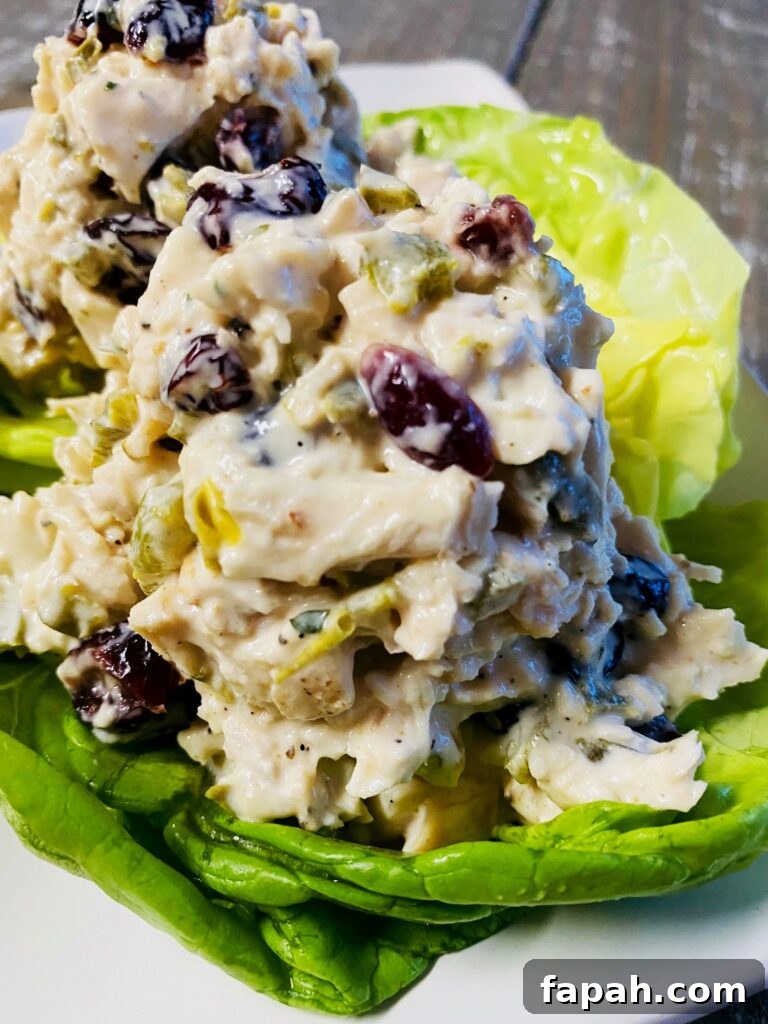Spicy Jalapeño Cranberry Pinwheels — Party Appetizer Recipe 11 Smoked Jalapeno Cranberry Chicken Salad