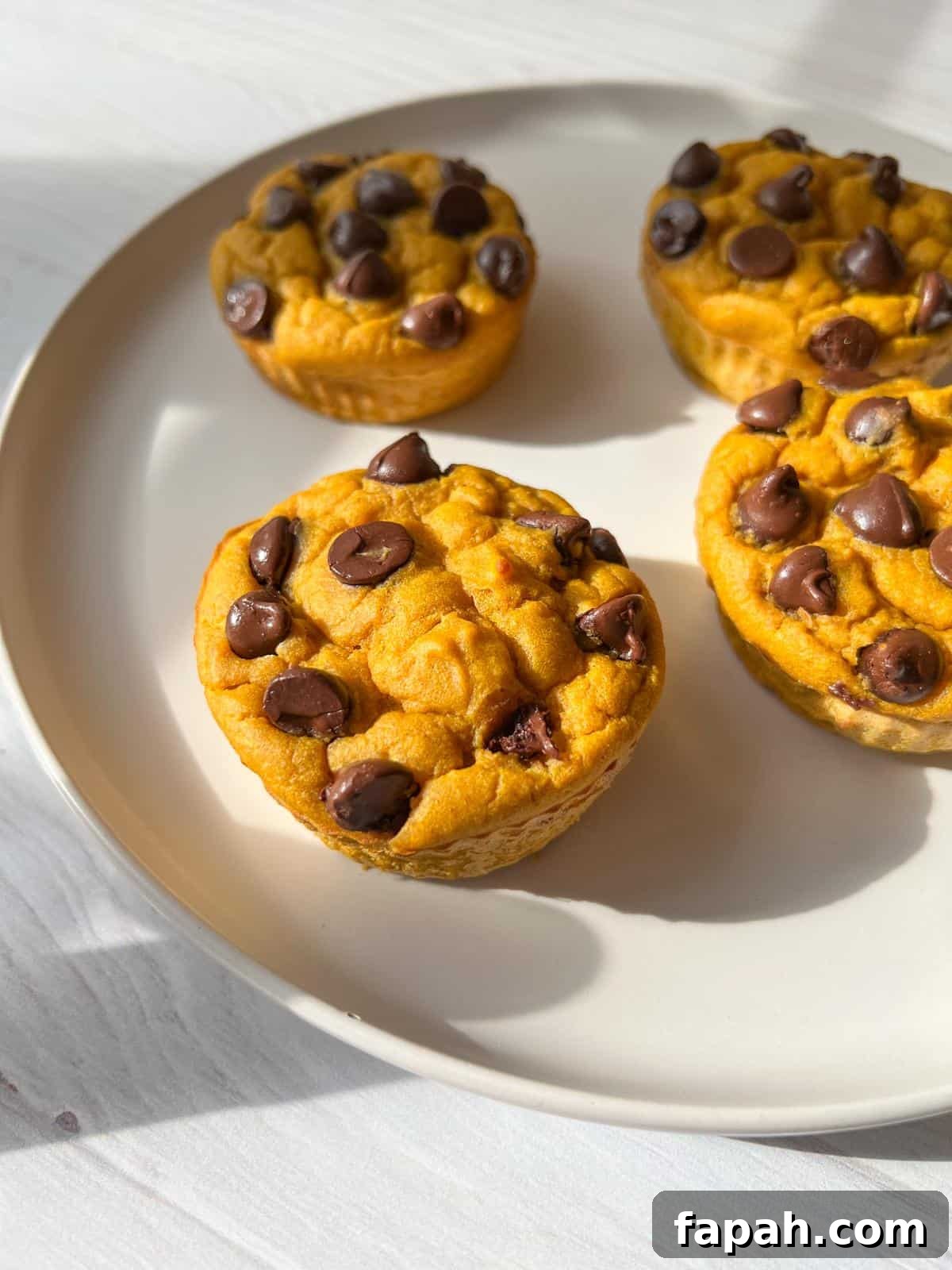 Four pumpkin-flavored muffins with chocolate chips on a round, beige plate. The muffins are arranged closely together, with sunlight casting soft shadows on the white surface beneath the plate.