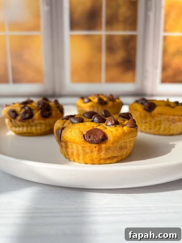 Three pumpkin muffins with chocolate chips on a white plate are placed on a light-colored table. The background shows a window with autumn scenery, featuring warm, golden hues. The muffins are bathed in soft natural light.