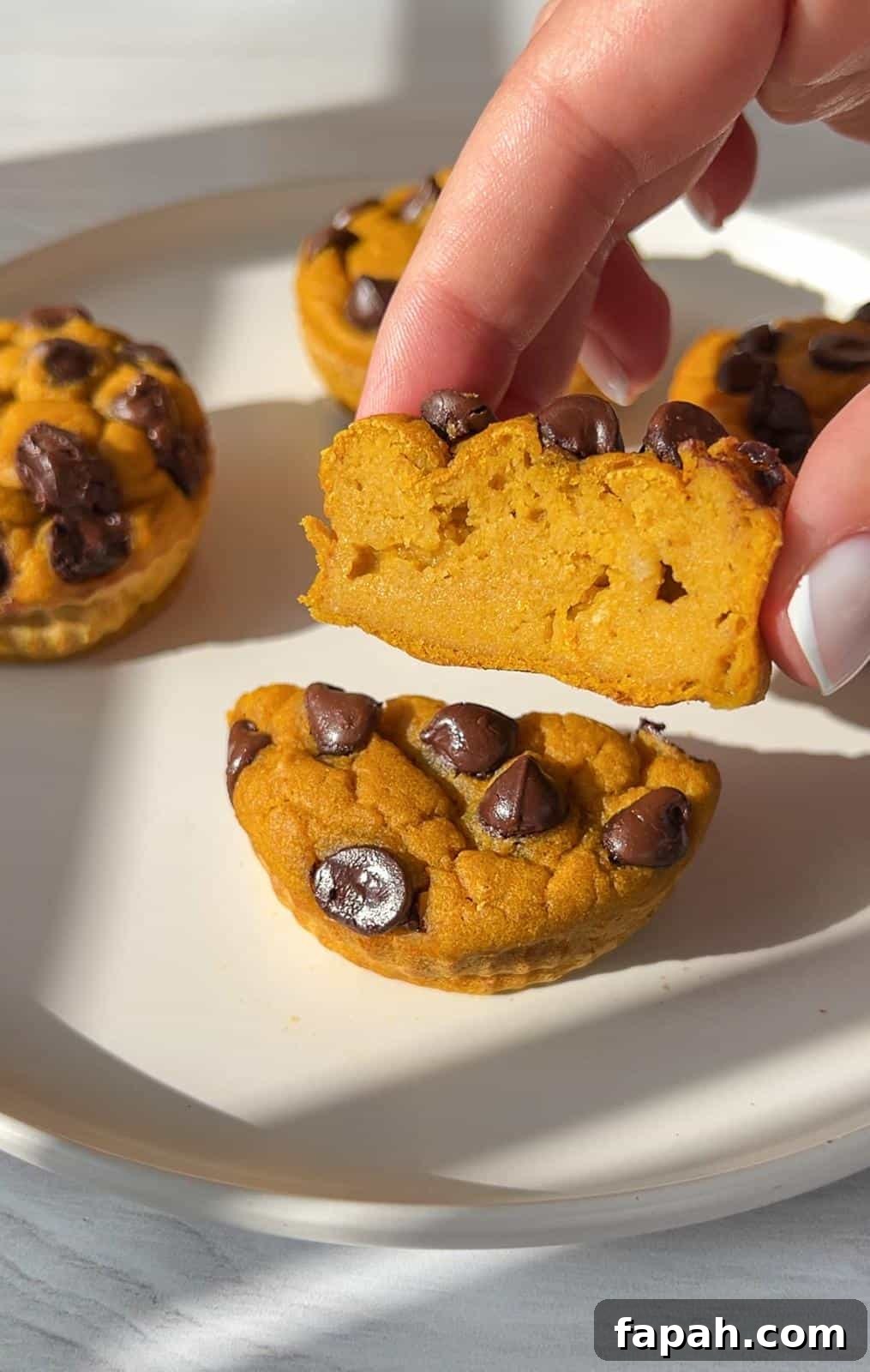 A person holds a half-eaten, round pumpkin muffin with chocolate chips, showing a soft texture. Several whole muffins are on a white plate in the background, illuminated by natural light.
