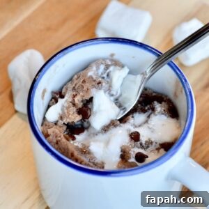Low-Calorie Hot Chocolate Mug Cake Recipe (WW Points) 6 Upclose image of hot cocoa mug cake