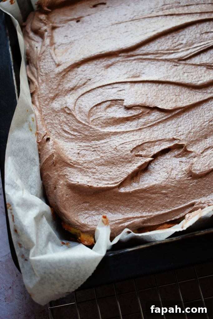 Close up of a chocolate frosted vanilla cake.
