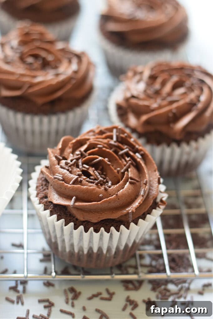 Close up of chocolate frosted cupcakes.