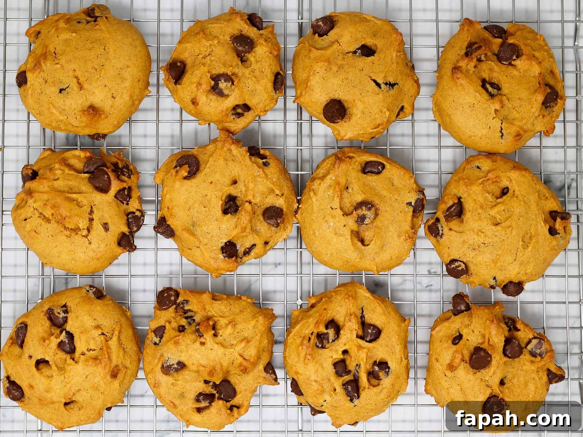 Classic Italian Pinch Cookies (Pizzelle-Inspired Biscotti) 9 pumpkin cookies with chocolate chips featured image