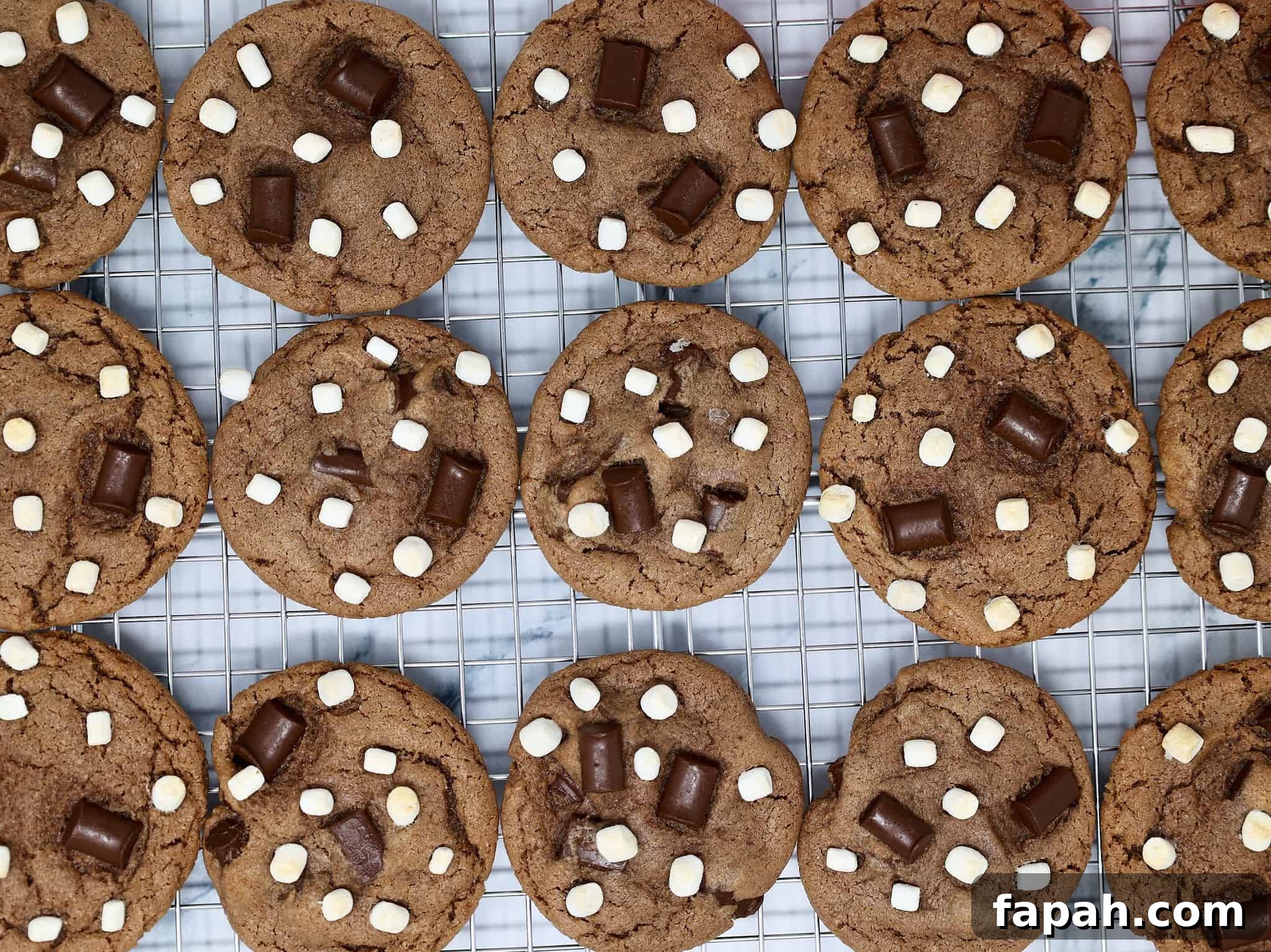 Classic Italian Pinch Cookies (Pizzelle-Inspired Biscotti) 10 hot cocoa cookies featured image