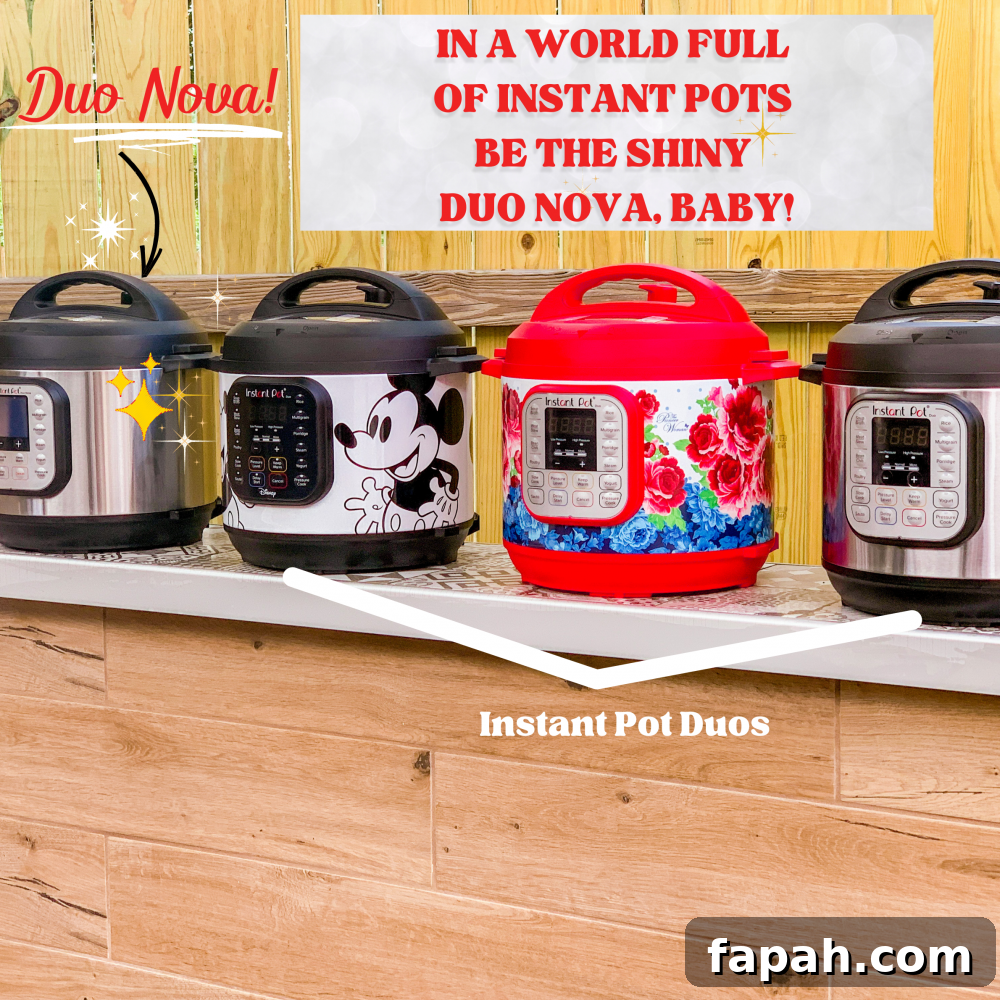 Instant Pot Models Compared: Which One Fits Your Kitchen? 4 Best Instant Pot Comparison Guide - Duo vs. Duo Nova