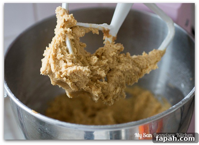 Peanut Butter Blossom Spider Cookies Recipe 4 pb-spiders-2