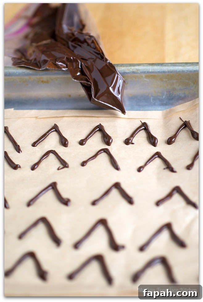 Peanut Butter Blossom Spider Cookies Recipe 5 pb-spiders-3