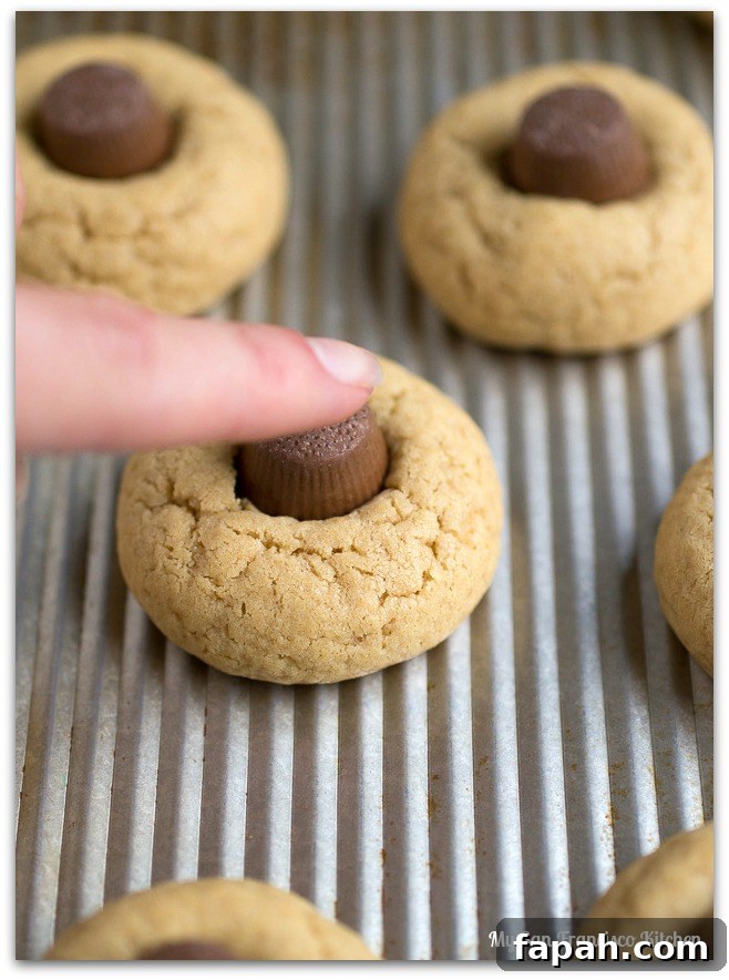 Peanut Butter Blossom Spider Cookies Recipe 6 pb-spiders4