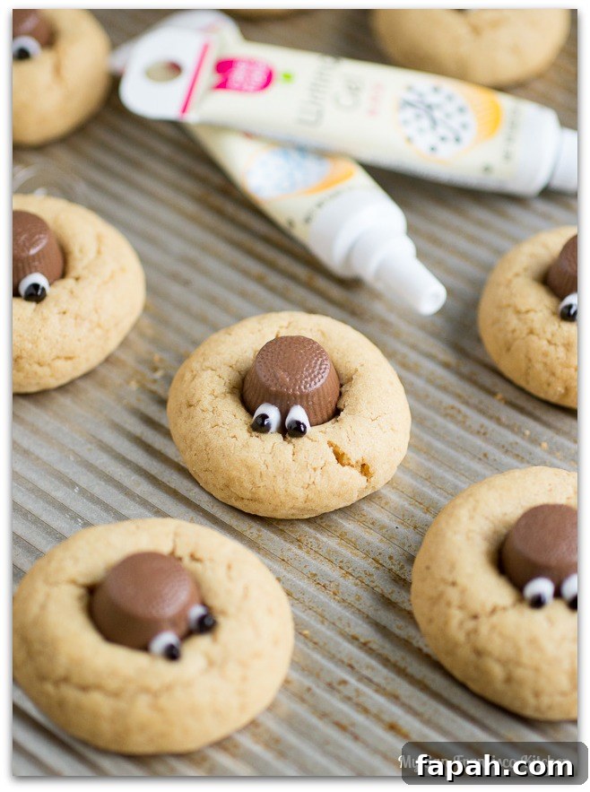 Peanut Butter Blossom Spider Cookies Recipe 7 pb-spiders-5