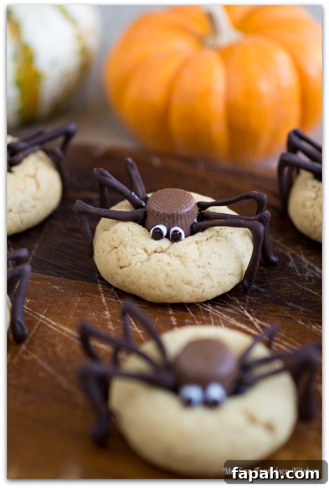 Peanut Butter Blossom Spider Cookies Recipe 9 pb-spiders-l