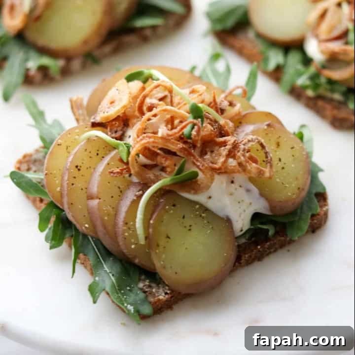 An open sandwich with lettuce, potato slices, crispy shallots and creamy sauce on a plate
