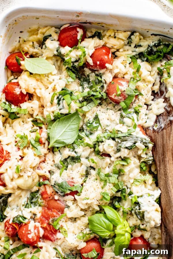 A Boursin orzo bake with fresh basil on top in a white casserole dish.