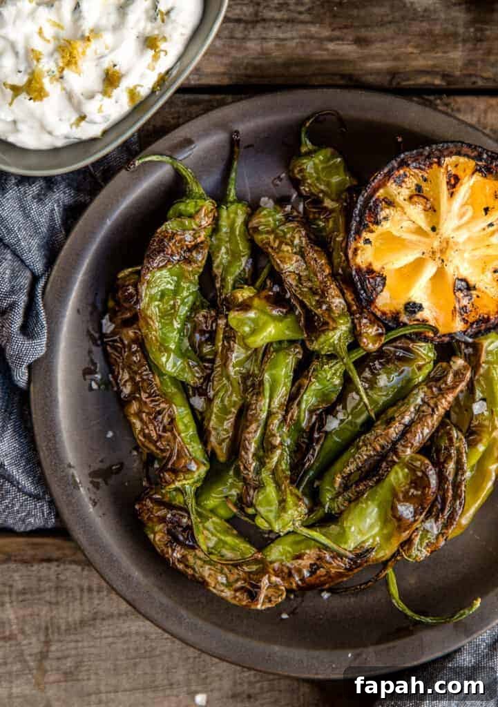 Grilled Shishito Peppers with Lemon Yogurt Dipping Sauce 2 Grilled Shishito Peppers on a plate with a grilled lemon half and lemon yogurt dipping sauce