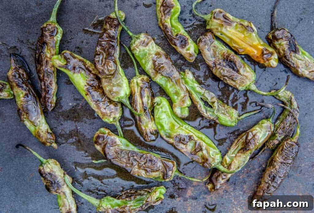 Grilled Shishito Peppers with Lemon Yogurt Dipping Sauce 5 Shishito peppers that have been blistered on the grill.