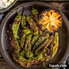 Grilled Shishito Peppers with Lemon Yogurt Dipping Sauce 6 img 6573 5
